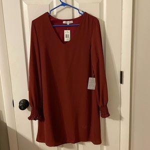 NWT The Vanity Room long sleeved dress, smocked wrist.Purchased at Nordstrom.